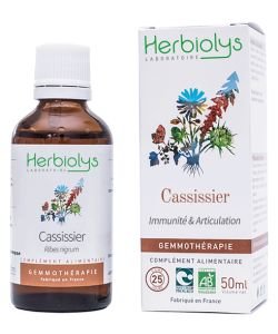 Cassissier (Ribes nigrum) - bourgeons frais de cassis BIO, 50 ml
