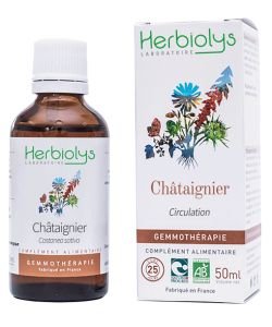 Châtaignier (Castanea Sativa) - bourgeons frais BIO, 50 ml
