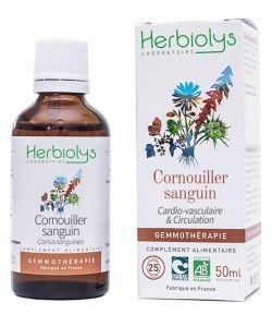 Cornouiller sanguin (Cornus sanguinea) - bourgeons frais BIO, 50 ml