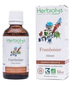 Framboisier (Rubus idaeus) - bourgeons frais BIO, 50 ml