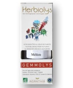 Mélèze (Larix europaea) BIO, 50 ml