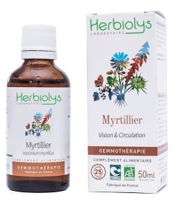 Myrtillier (Vaccinum myrtillus) - bourgeons frais