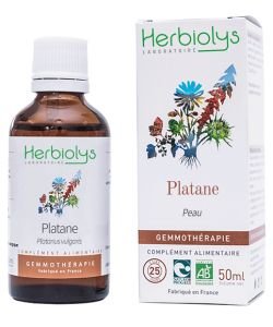 Platane (Platanus vulgare) - bourgeons frais BIO, 50 ml