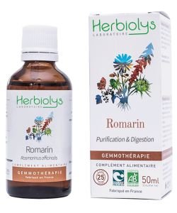 Romarin (Rosmarinus officinalis) - bourgeons frais BIO, 50 ml