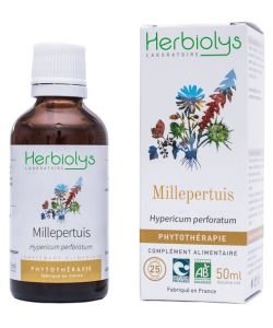 Millepertuis (Hypericum perforatum) - Macérat de plantes fraîches BIO, 50 ml