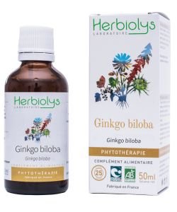 Ginkgo biloba (Ginkgo biloba) - Macérat de plantes fraîches BIO, 50 ml