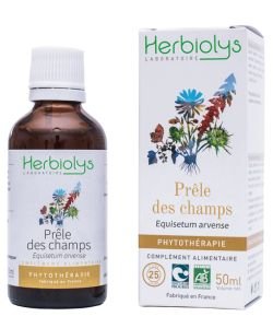 Prêle des Champs (Equisetum arvense) - Macérat de plantes fraîches BIO, 50 ml