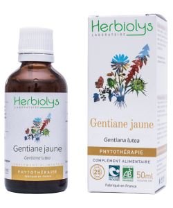 Gentiane jaune (Gentiana lutea) - Macérat de plantes fraîches BIO, 50 ml