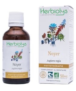 Noyer (Juglans regia) - Macérat de plantes fraîches BIO, 50 ml