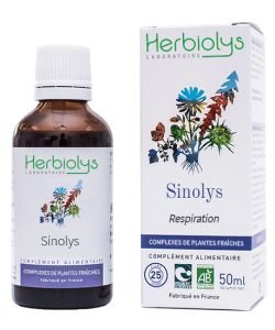 Complexe Sinolys