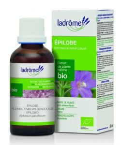 Epilobe - extrait de plante fraîche - sans emballage BIO, 50 ml