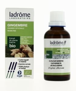 Gingembre - extrait de plante fraîche DLUO 03/26 BIO, 50 ml