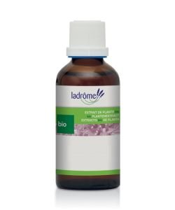 Petite centaurée - extrait de plante fraîche DLUO 10/26 BIO, 50&nbsp;ml