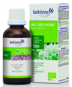 Ail des ours - extrait de plante fraîche BIO, 50 ml