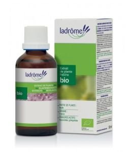 Basilic - extrait de plante fraîche BIO, 50 ml