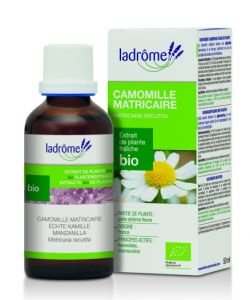 Camomille matricaire - extrait de plante fraîche BIO, 50 ml