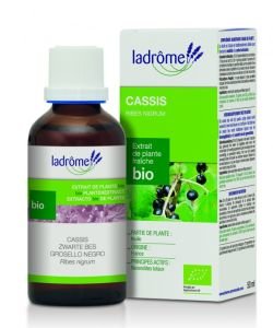 Cassis - extrait de plante fraîche BIO, 50 ml