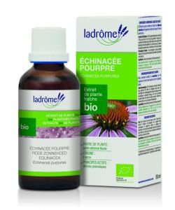 Echinacée pourpre - extrait de plante fraîche BIO, 50 ml