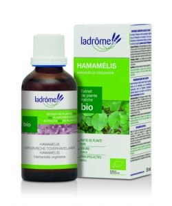 Hamamélis - extrait de plante fraîche BIO, 50 ml