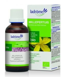 Millepertuis - extrait de plante fraîche BIO, 50 ml