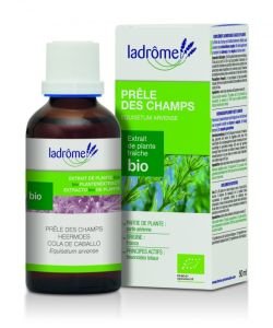 Prêle des champs - extrait de plante fraîche BIO, 50 ml