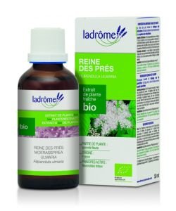 Reine des prés - extrait de plante fraîche  BIO, 50 ml