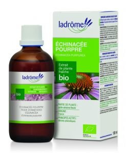 Echinacée pourpre - extrait de plante fraîche BIO, 100 ml