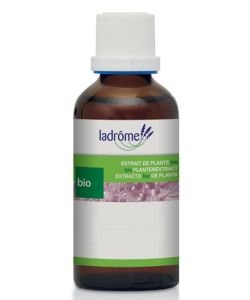 Arnica - extrait de plante fraîche BIO, 50 ml