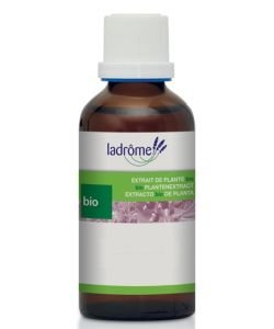 Avoine - extrait de plante fraîche BIO, 100 ml