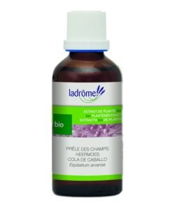 Prêle des champs - extrait de plante fraîche BIO, 100 ml