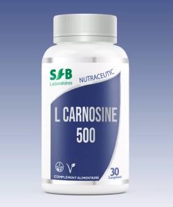 L-Carnosine 500 - DLUO 12/2025, 30 comprimés