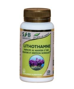 Lithothamne