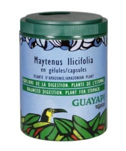 Maytenus Ilicifolia, 90 capsules