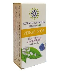 Verge d'or - Extrait de plante fraîche BIO, 130 granules