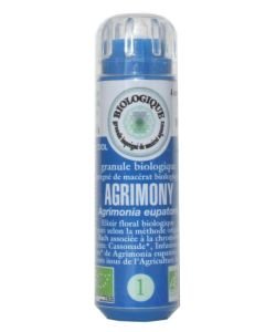 Agrimony - Aigremoine (n°1) SANS ALCOOL BIO, 130 granules