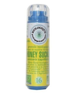Chèvrefeuille - Honeysuckle (n°16) SANS ALCOOL BIO, 130 granules