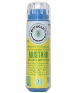 Moutarde - Mustard (n°21) SANS ALCOOL BIO, 130 granules