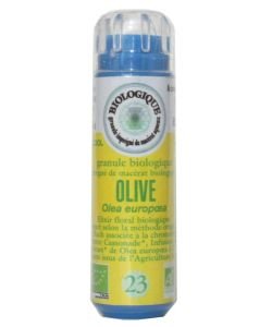 Olivier - Olive (n°23) SANS ALCOOL BIO, 130 granules
