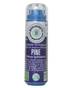 Pine (No. 24) ALCOHOL FREE BIO, 130 granules