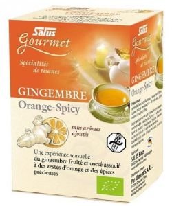 Infusion gourmet Gingembre Orange spicy - DLUO 09/2019 BIO, 15 sachets