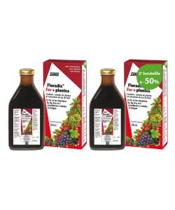 Floradix fer + plantes - 2ème bouteille à -50%, 2 x 500 ml 