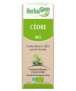 Cèdre (Cedrus libani) bourgeon BIO, 15 ml