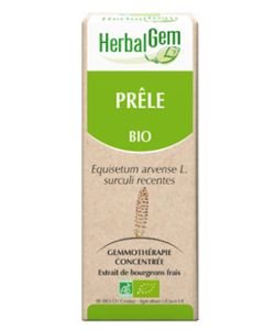 Prêle (Equisetum arvense) bourgeon - sans emballage BIO, 50 ml