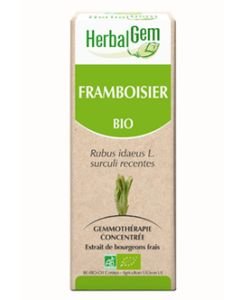 Framboisier (Rubus idaeus) bourgeon - sans emballage BIO, 50 ml