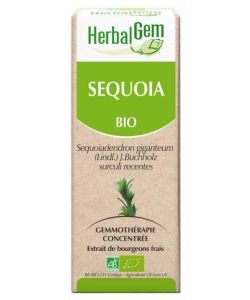 Sequoia (Sequoia gigantea) jp BIO, 15 ml