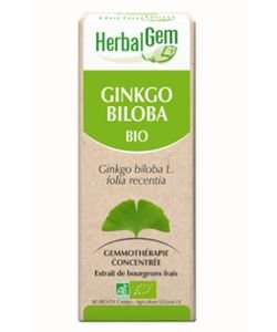 Ginkgo (Ginkgo biloba) bud BIO, 15 ml