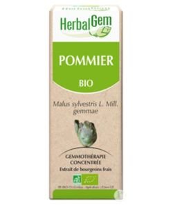 Pommier (Malus sylvestris) bourgeon - sans emballage  BIO, 50 ml