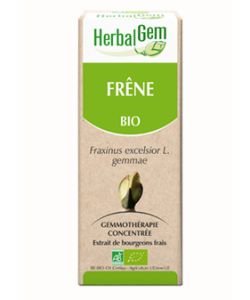 Frêne (Fraxinus excelsior) bourgeon - sans emballage BIO, 50 ml
