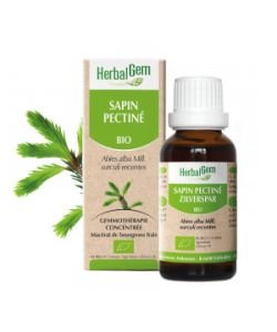 Silver fir (Abies pectinata) jp BIO, 50 ml
