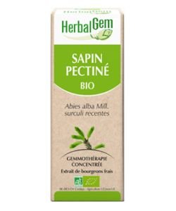 Silver fir (Abies pectinata) jp BIO, 50 ml